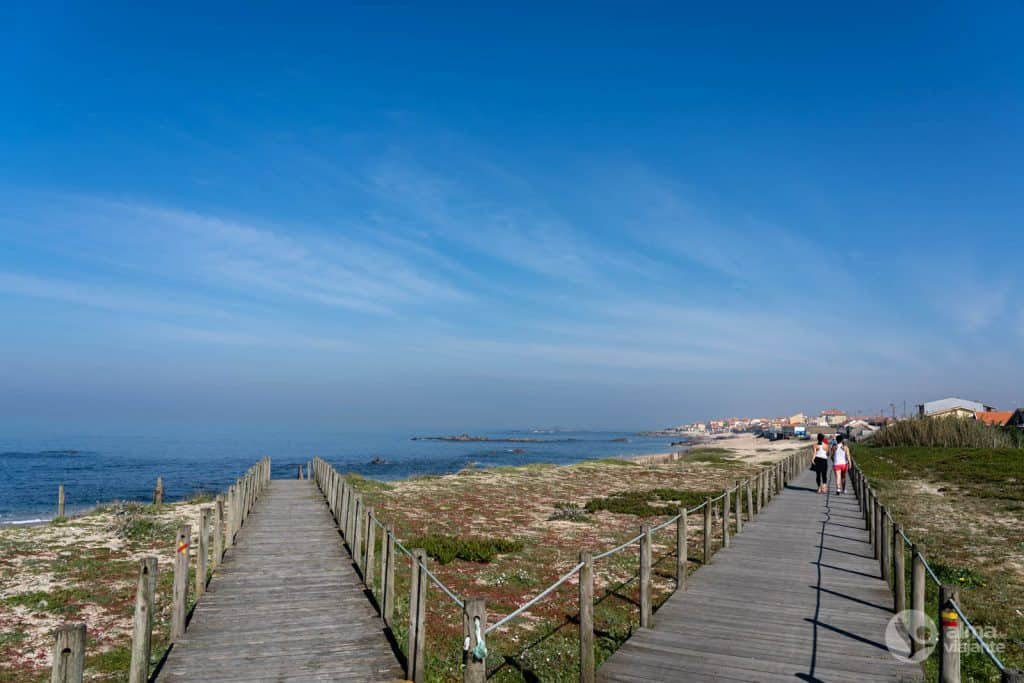 Reserva ornitológica de Mindelo, Vila do Conde