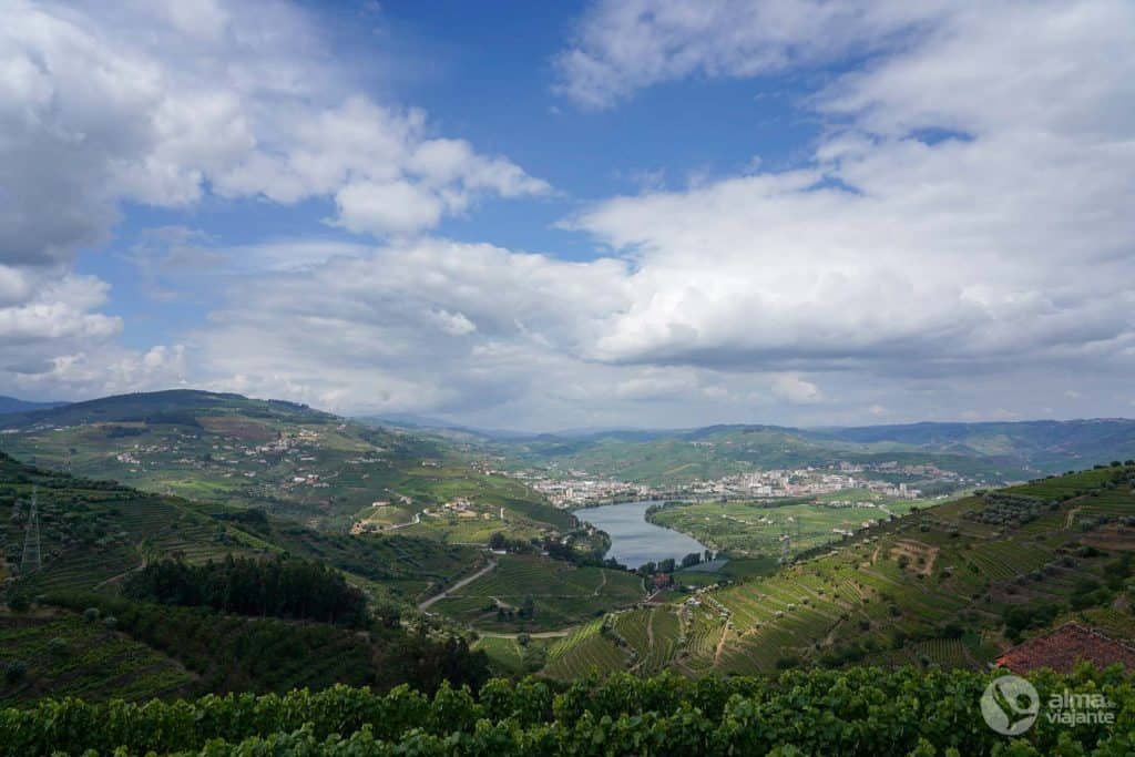 Ruta del Vino de Oporto - PR2 Lamego