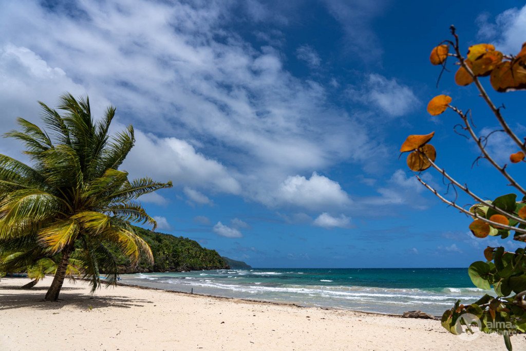 Playa Rincón, Samaná