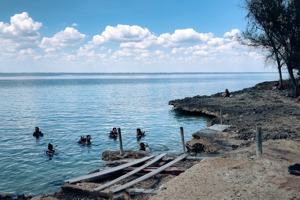 Ciénaga de Zapata Cuba