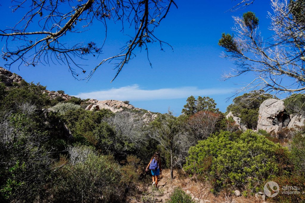 Trekking Cala Napoletana, Isla Caprera