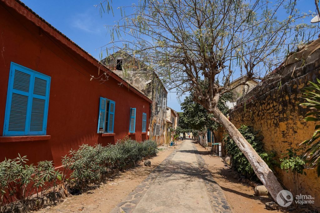 Calle De La Isla de Gorée