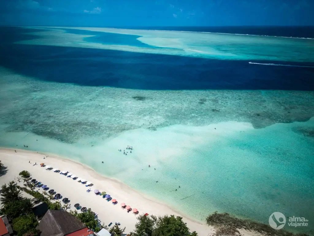 Maldivas: Isla Gulhi