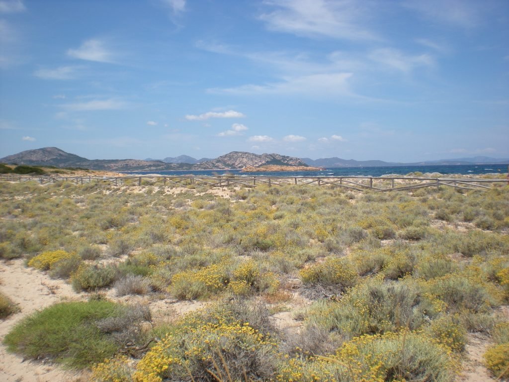 Mejores playas cerca de Olbia Cerdeña