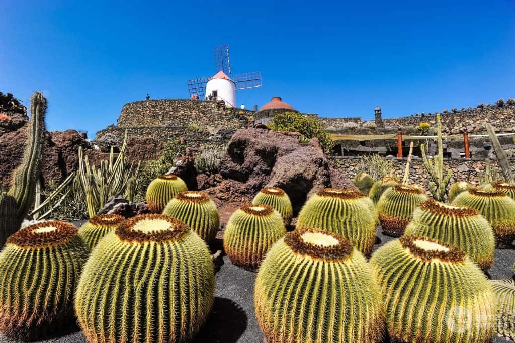 Jardín de Cactus de Lanzarote