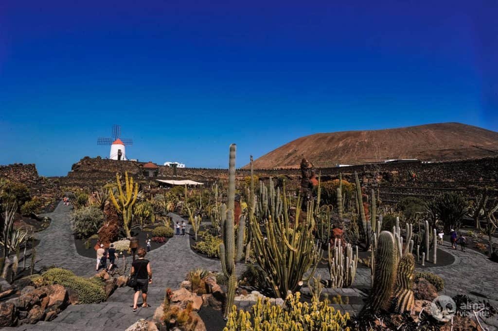Jardín de Cactus, Lanzarote