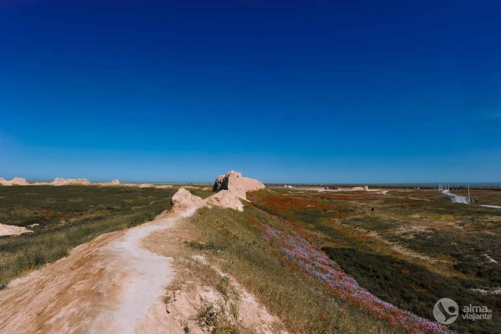Murallas de Sauran, Kazajstán