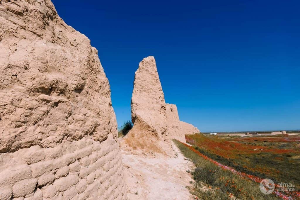 Murallas de Sauran, Kazajstán
