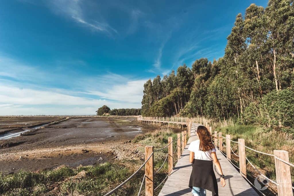 Pasarelas de la Ría de Aveiro