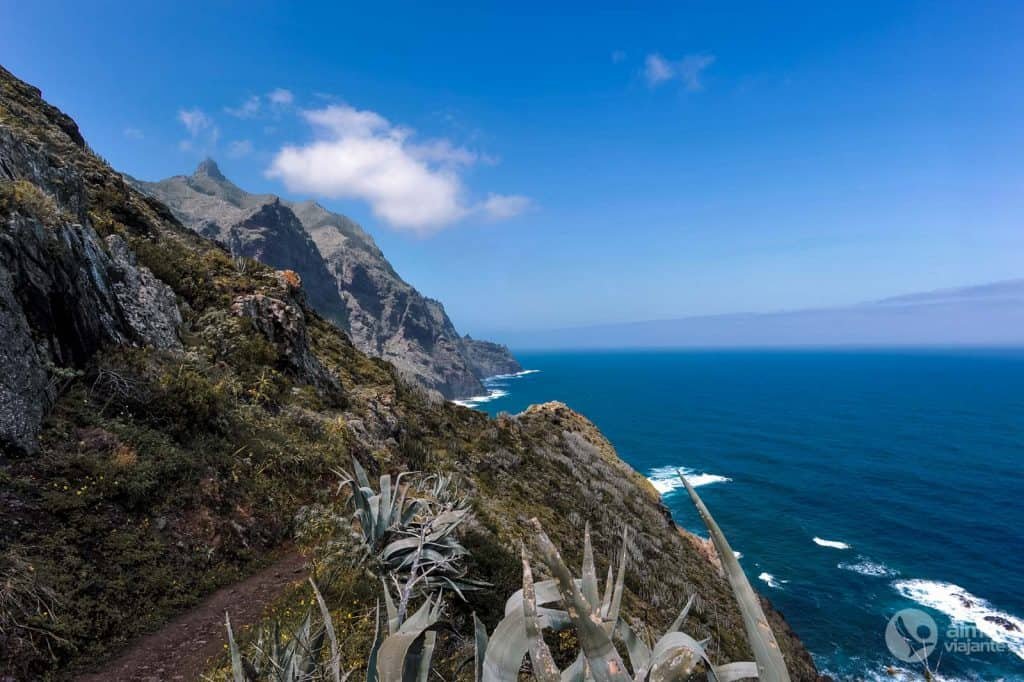 Trekking Anaga: PR-TF 8 Afur - Taganana - Afur