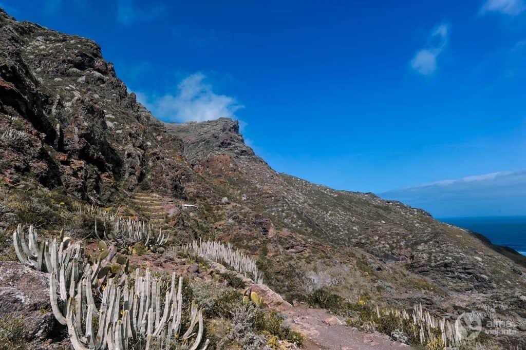 Parque Rural de Anaga, Tenerife