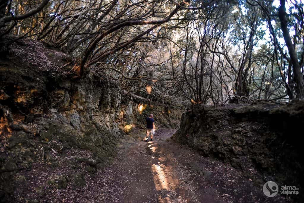 Ruta de los Sentidos, Tenerife