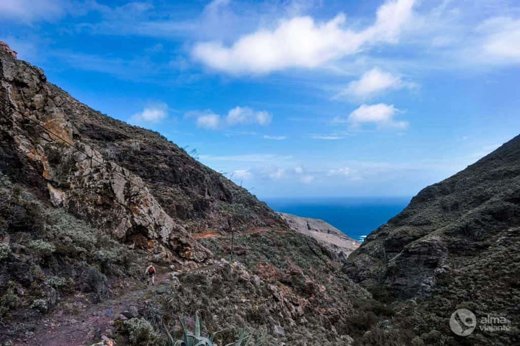 Itinerario de viaje en Tenerife: trekking de Chamorga a Roque Bermejo