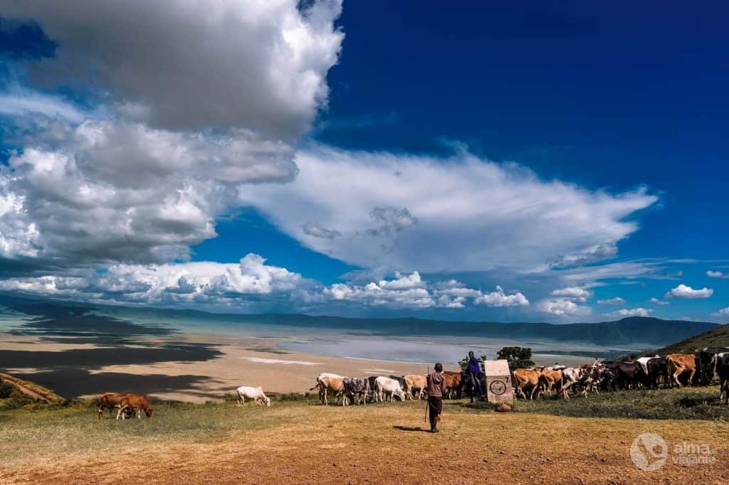 Pastores masai del Ngorongoro