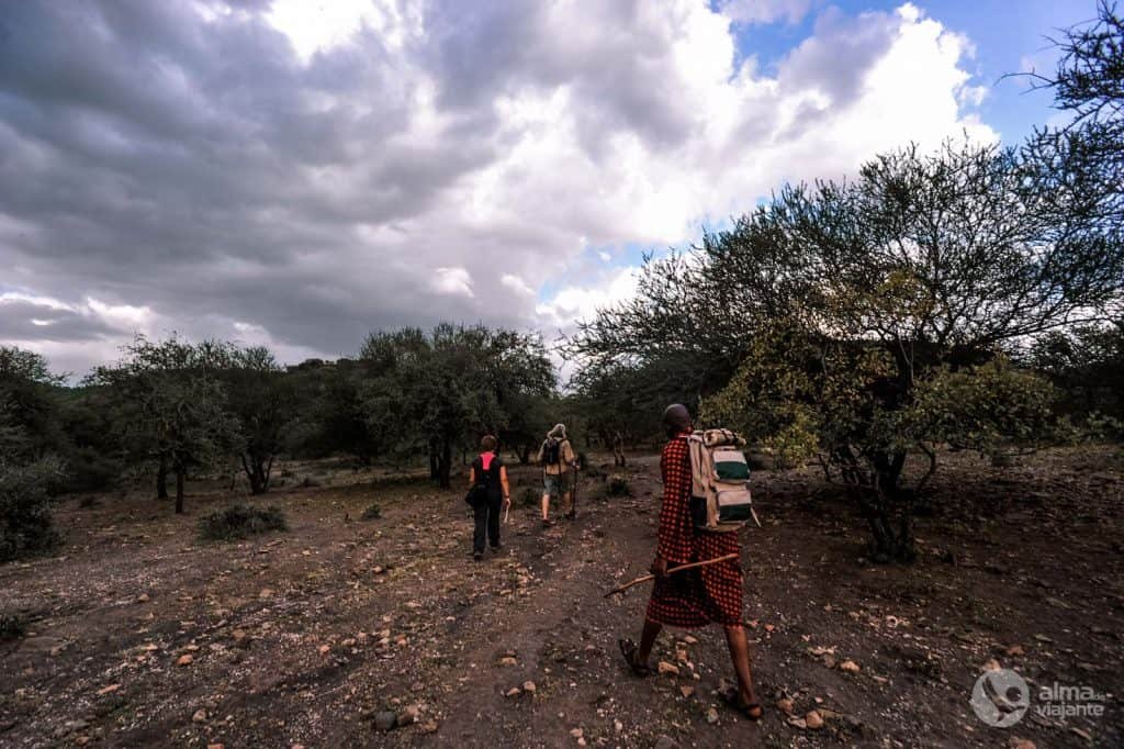 Paseo por el lago Manyara