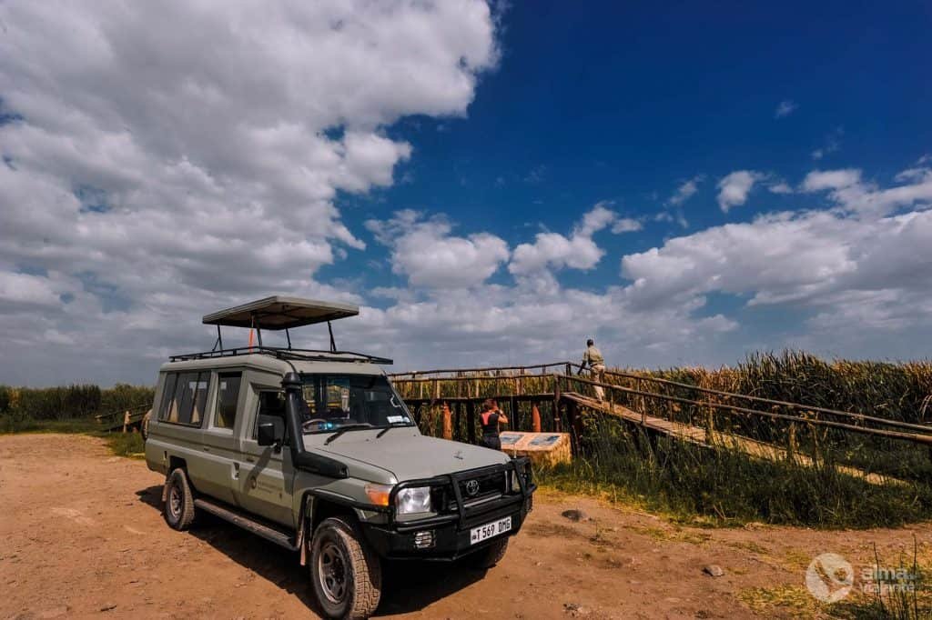 Safari por el lago Manyara