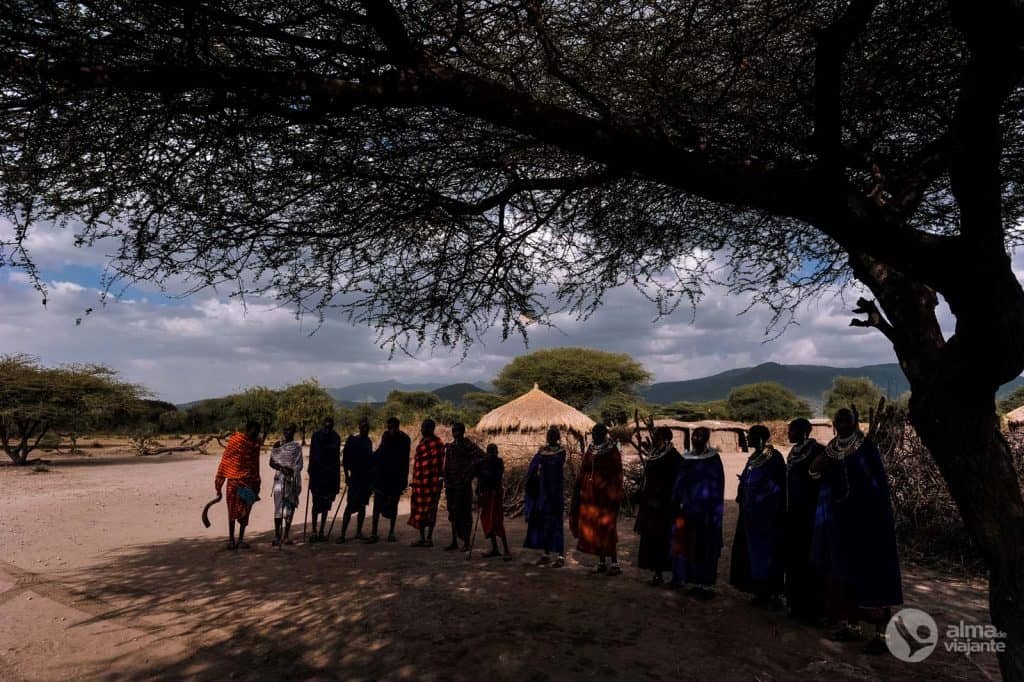 Danzas masai