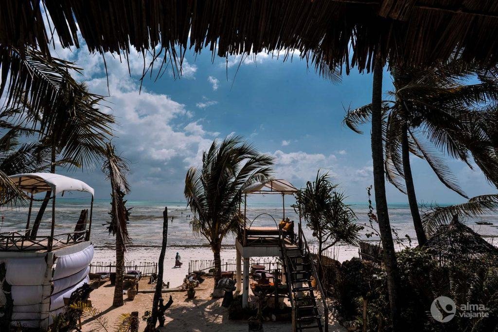 Dónde alojarse en Zanzíbar: Mango Beach House, Jambiani