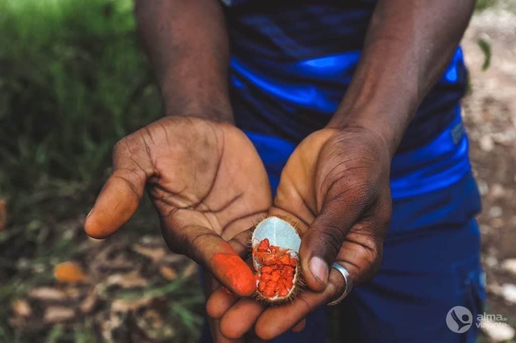 Especias de Zanzíbar: achiote (pimentón)