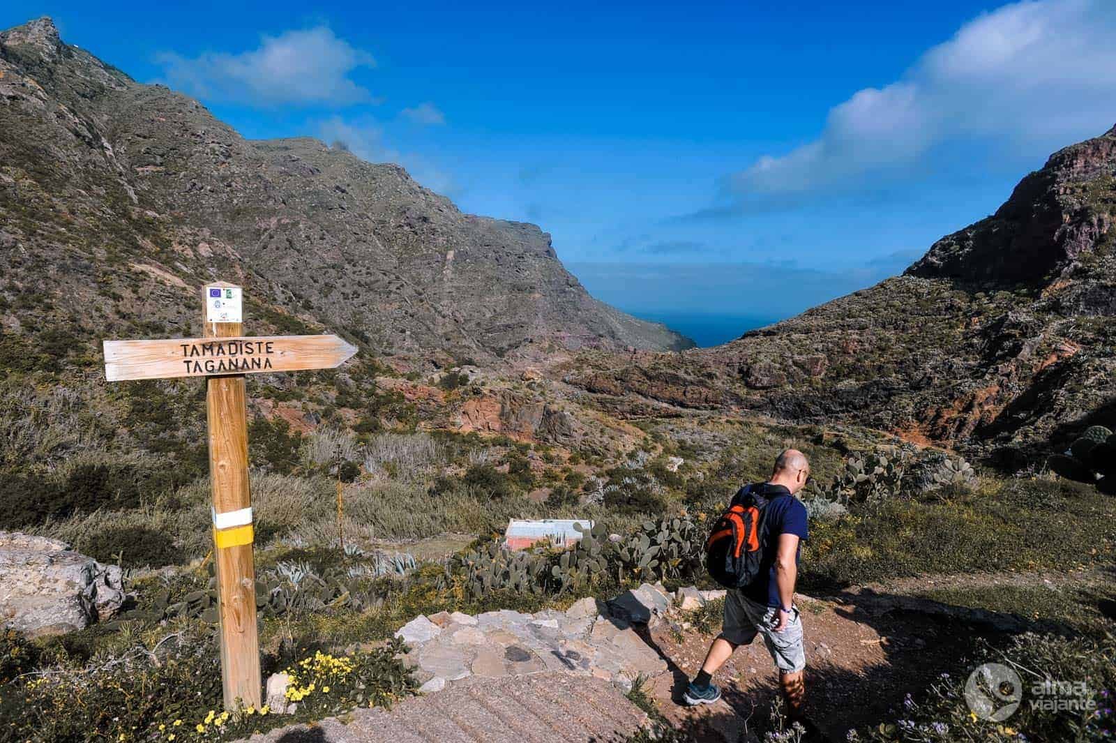 Senderismo PR-TF 8 Afur Taganana: La Ruta Imprescindible De Anaga, Tenerife