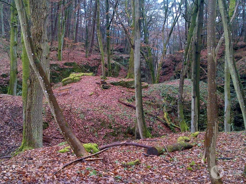 Bosques en Berdorf