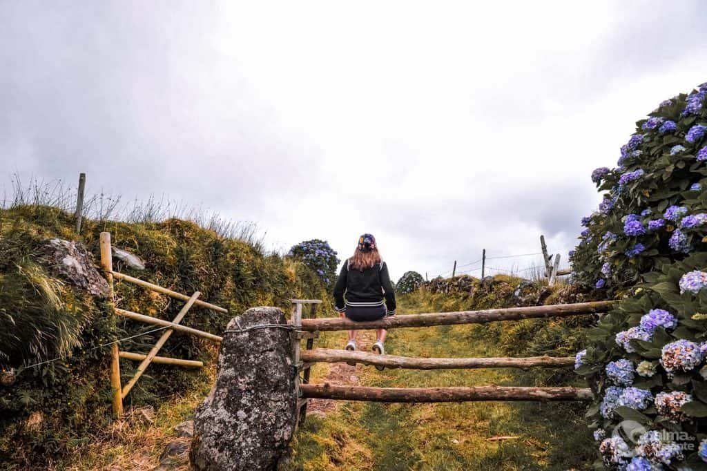 Puerta de madera, São Jorge, Azores