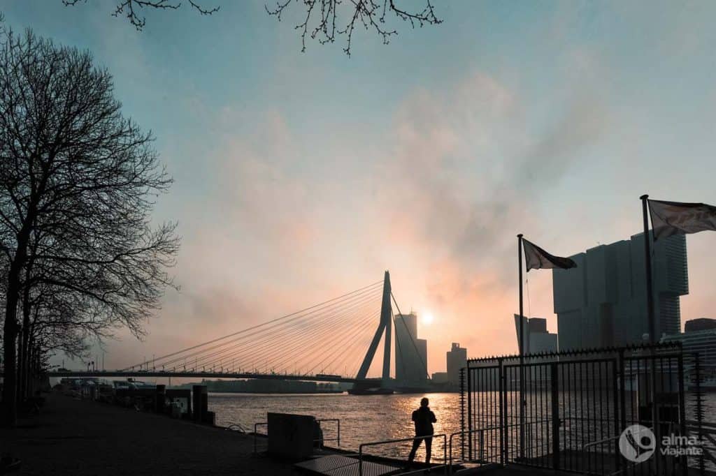 Qué visitar en Rotterdam: Puente Erasmus