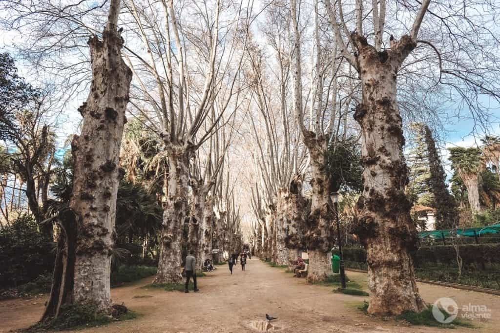 Qué hacer en Argel: Jardín Botánico El-Hamma