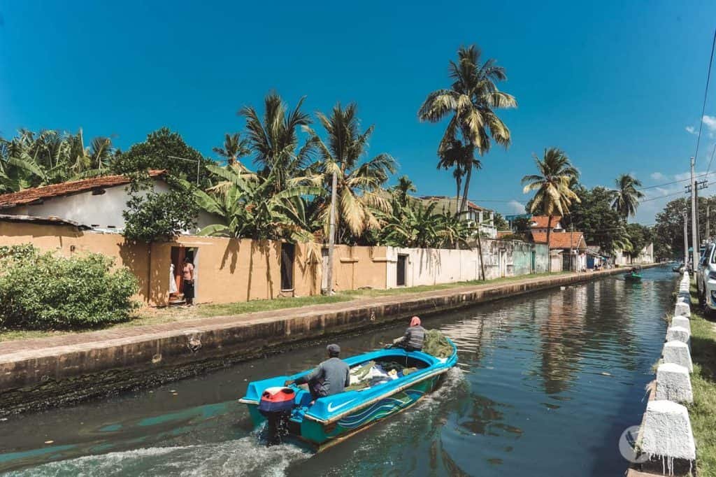 Canal de Hamilton, Negombo