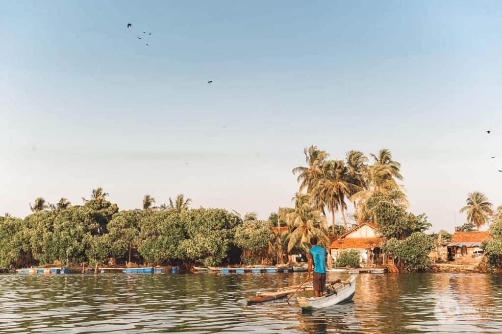 Qué hacer en Negombo: paseo en barco por la laguna