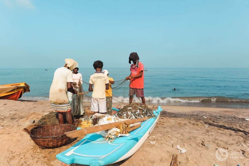 Redes de pesca, Negombo