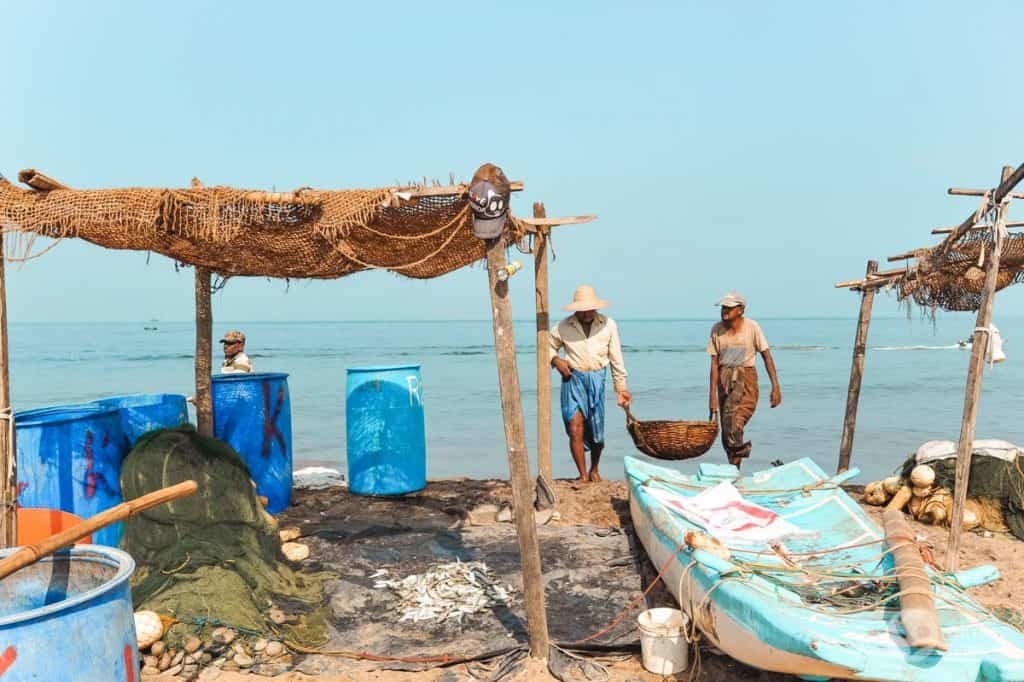 Mercado de pescado, Negombo, Sri Lanka