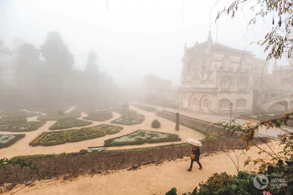 Jardim Novo, Mata do Buçaco