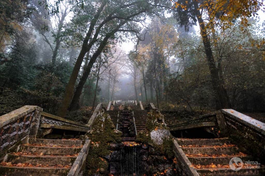 Qué hacer en Mata do Buçaco: visitar Fonte Fria