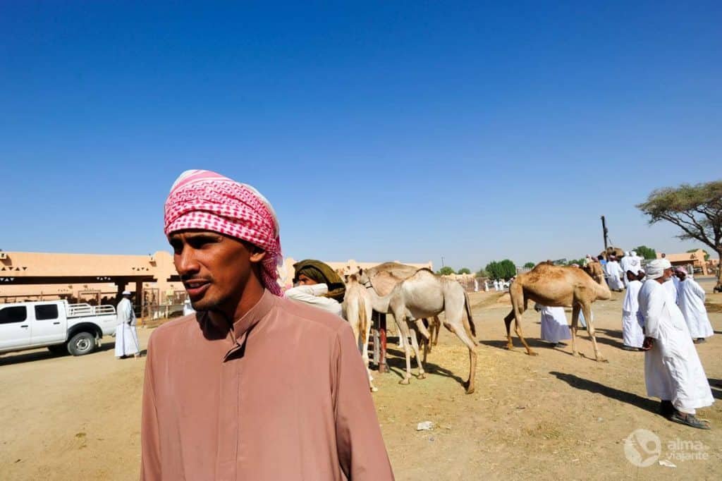 comerciante de camellos