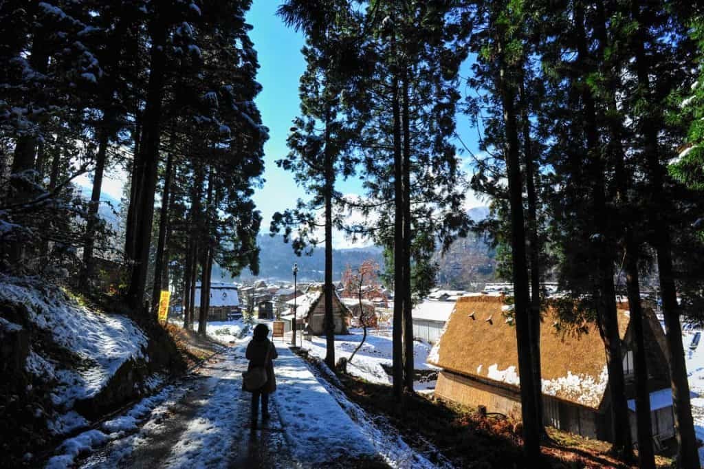 Camino desde el mirador hasta Ogimachi, pueblo principal de Shirakawa-go
