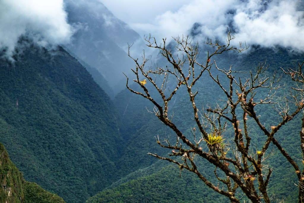 Guía de Machu Picchu