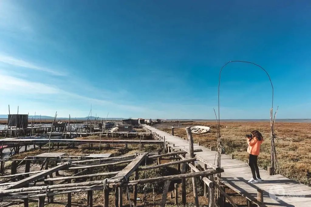 Visite el puerto de las pilas de cartasqueira