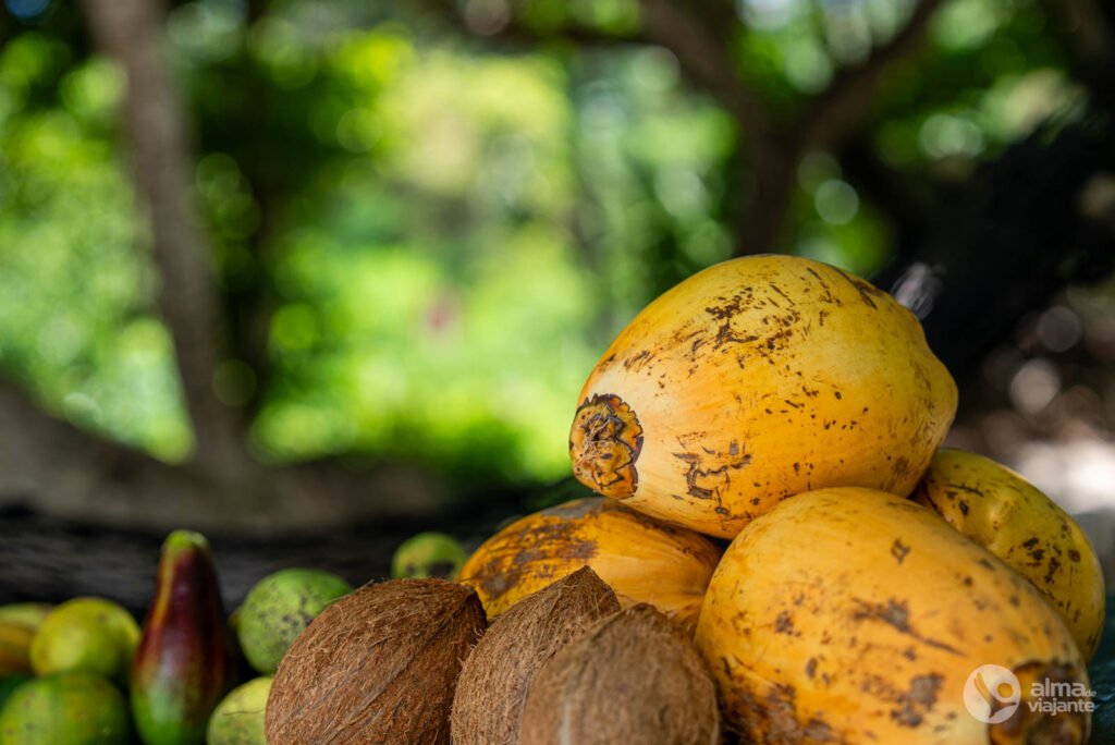 Frutas tropicales en Seychelles