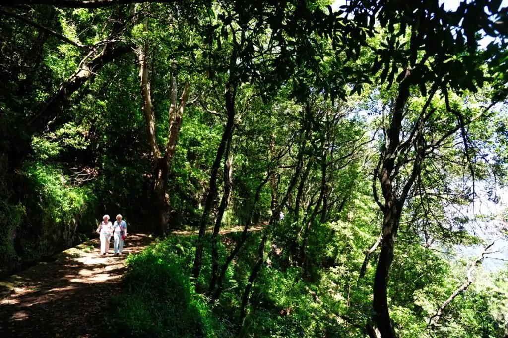 Turistas de alto rango en Levada de los mostradores (Ribeiro Frio), Madeira