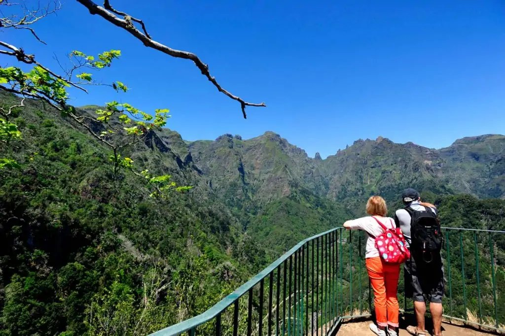 Punto de vista de Balcões, lugar para observar pájaros en la madera