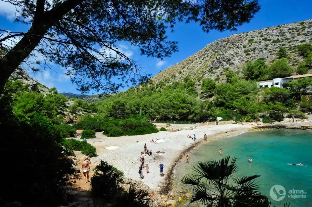 Cala Murta, Mallorca