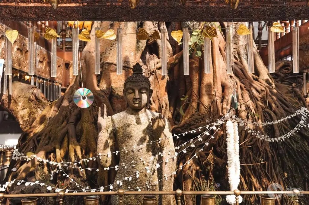 Qué visitar en Colombo: Templo Gangaramaya