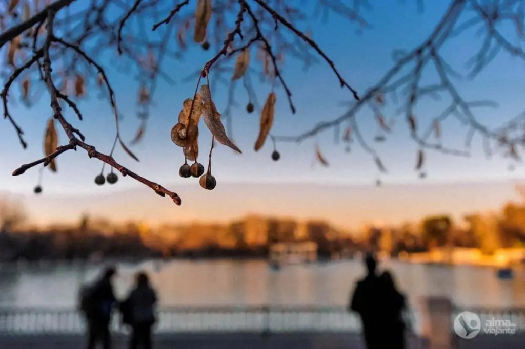 Gran Lago del Parque del Retiro