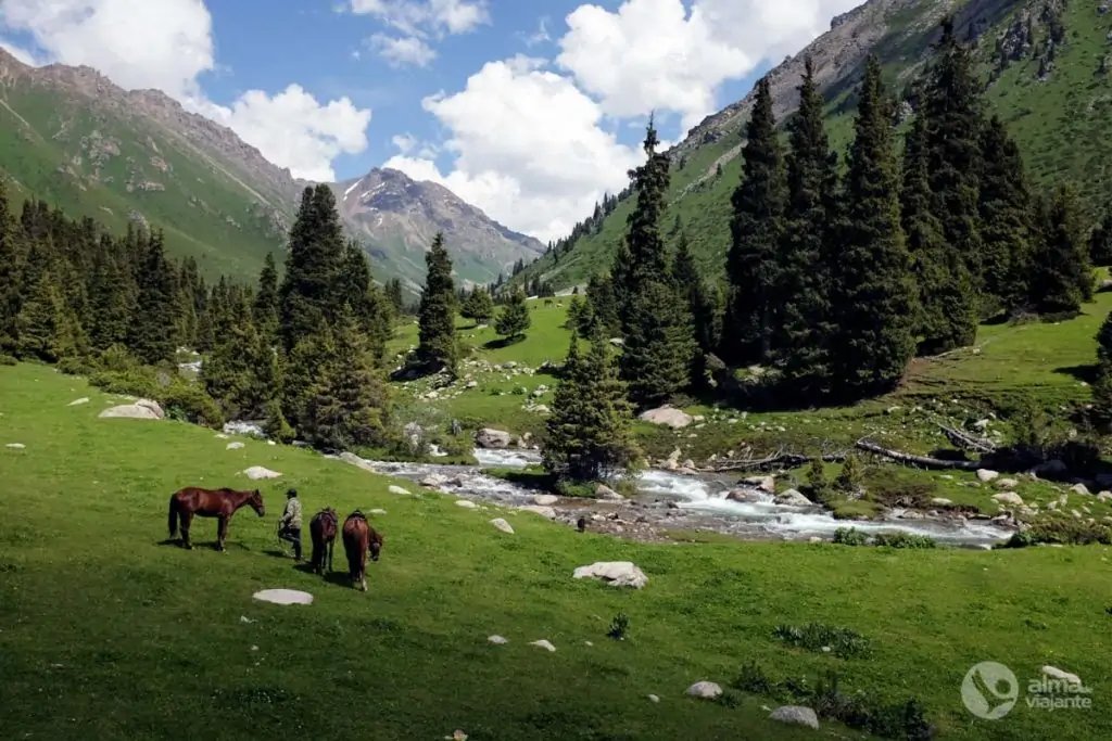 Trekking en las montañas Tien Shan: Valle de Kyzylsul