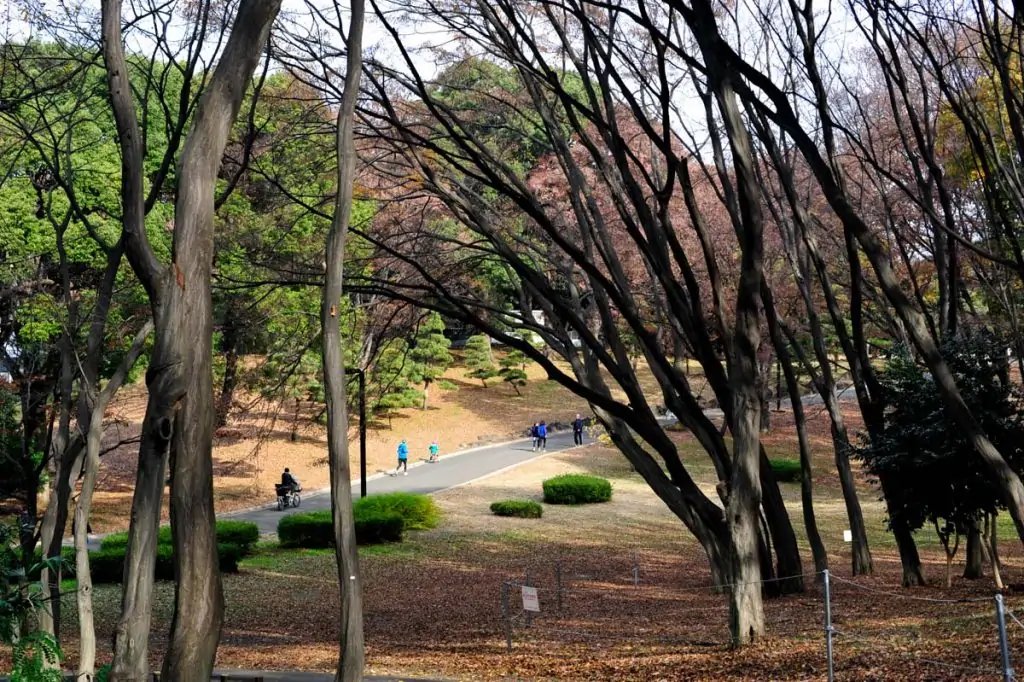 Gente corriendo en el Parque Yoyogi