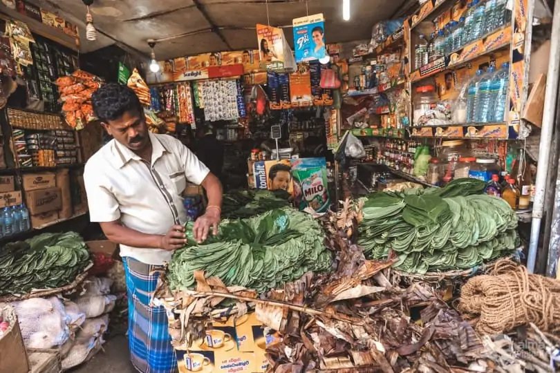 Qué hacer en Nuwara Eliya: vendedor de hojas de betel