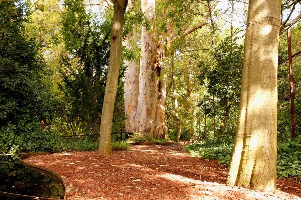 Fundación Calouste Gulbenkian Lisboa