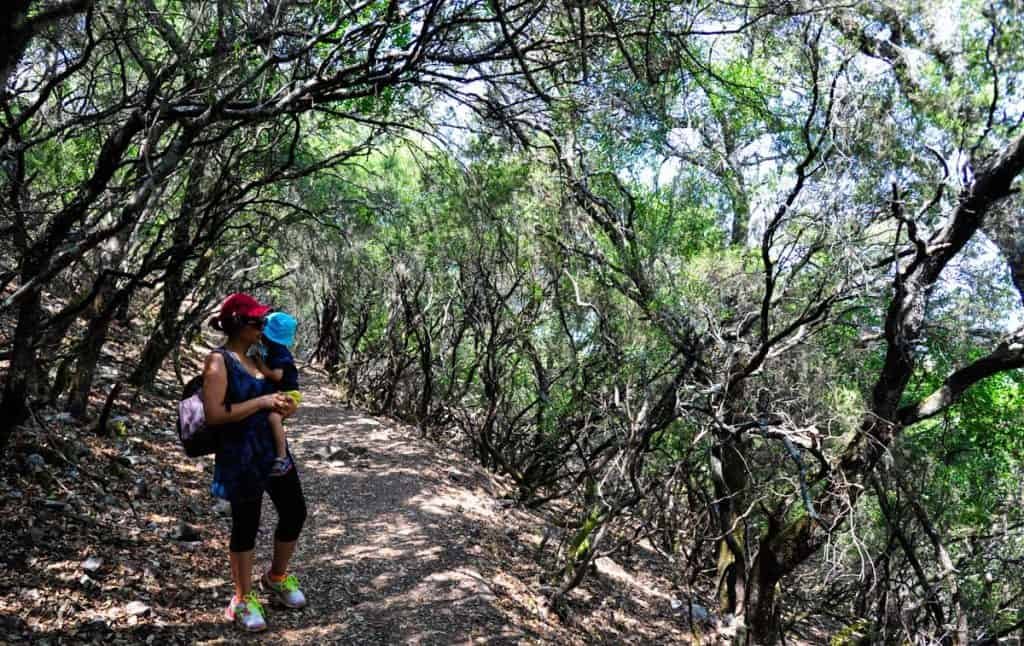 Monfragüe con niños