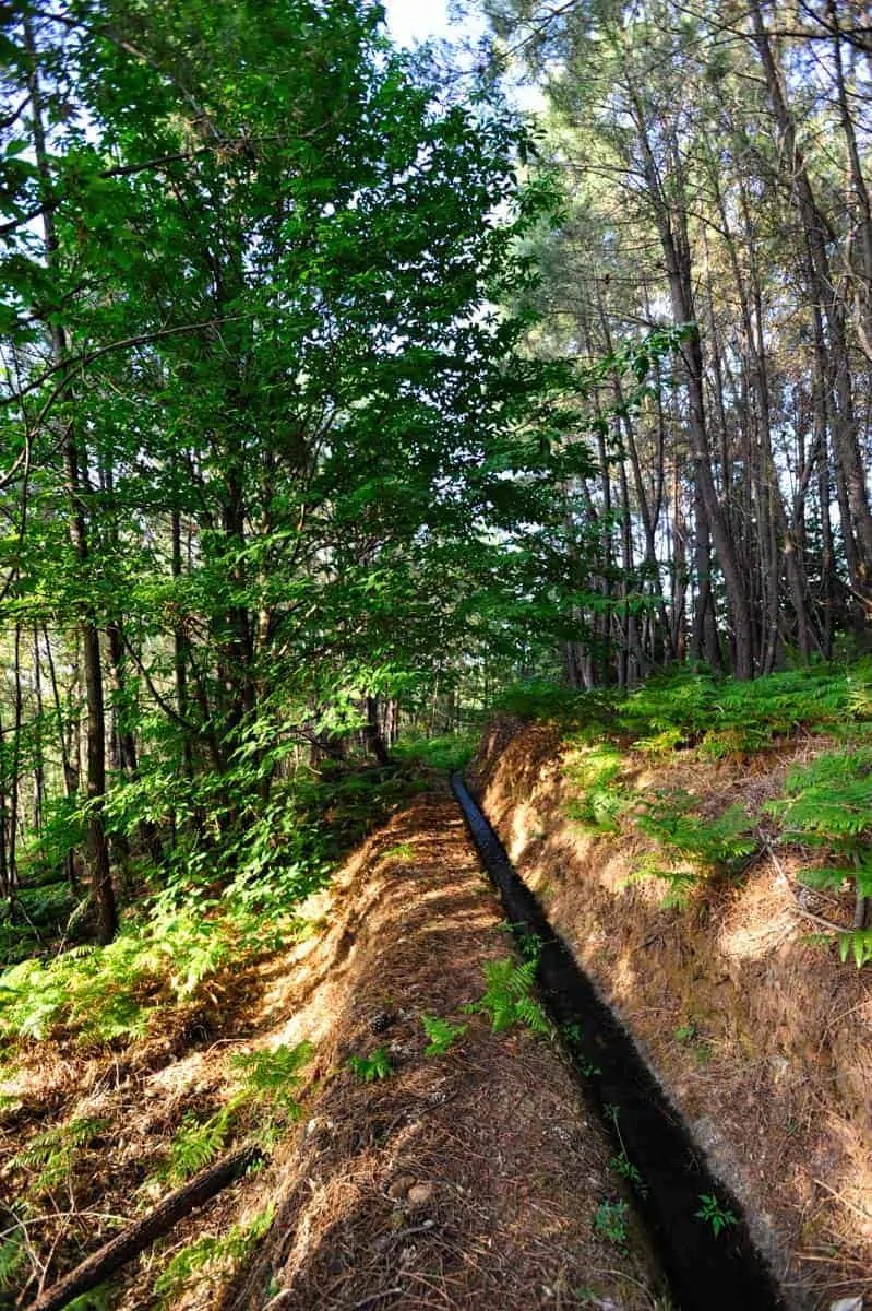 Tomada en la Serra da Gardunha.